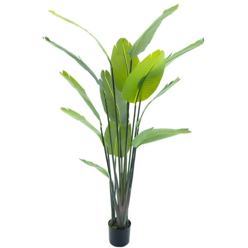 Alternative view of Kunstplant Strelitzia
