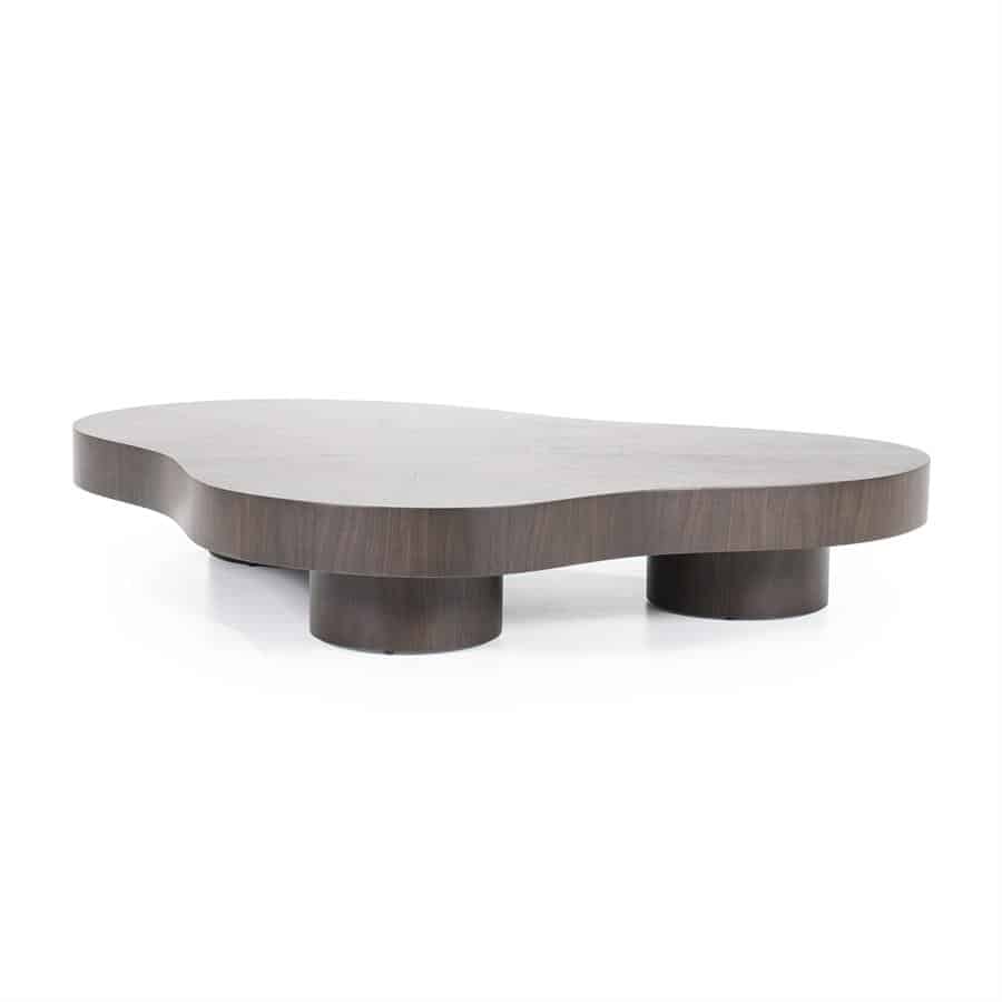 Alternative view of Bobbi Salontafel