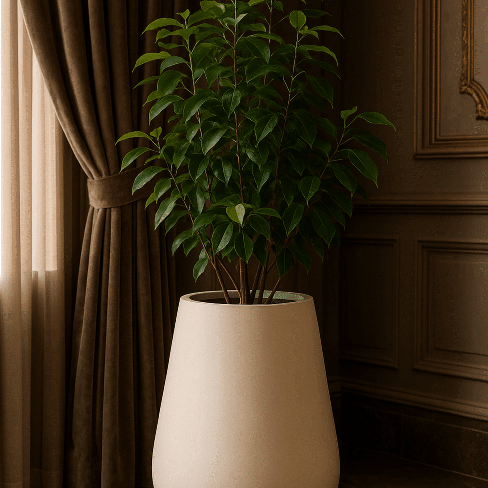 Alternative view of Toro Vaas - 60x80 - White