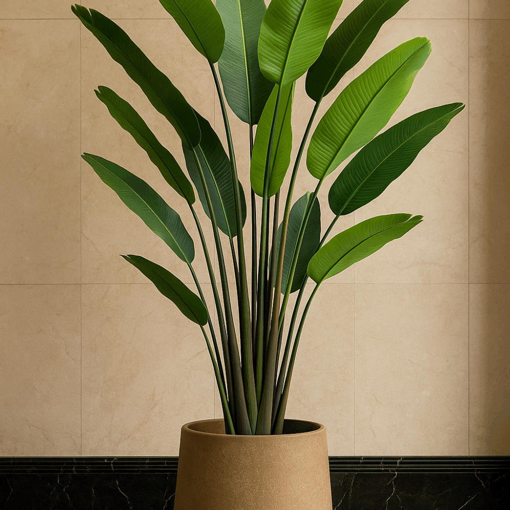 Kunstplant Strelitzia